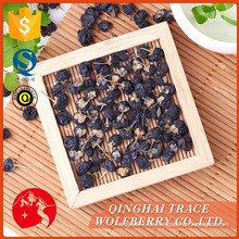 Neue Art top Verkauf chinesische schwarze Wolfberry